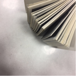 20161114 ICC�ɴu������׃���fǧ���پW(w��ng)ÿ�ܳ�Ҏ(gu��)���£�665_���D��.jpg